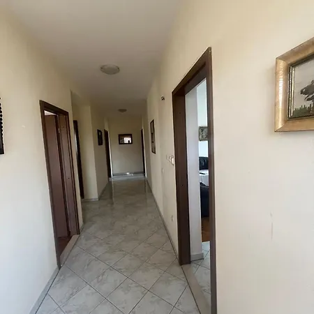 Mladi